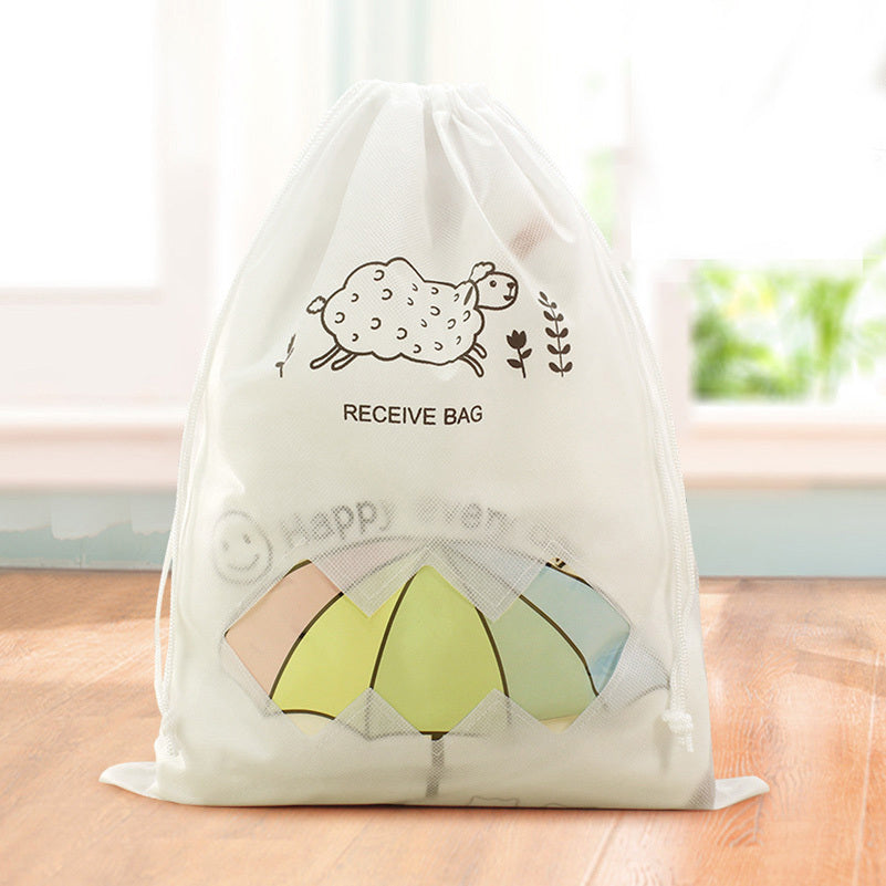 Household clothing storage bag