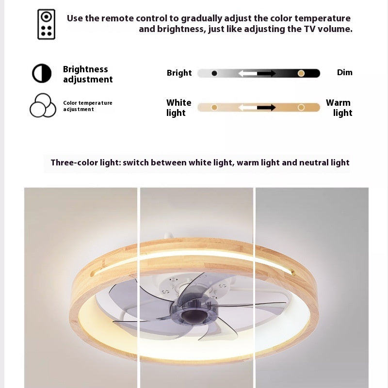 Ceiling Fan Lights Exclusive For Cross-border Frequency Conversion 110V
