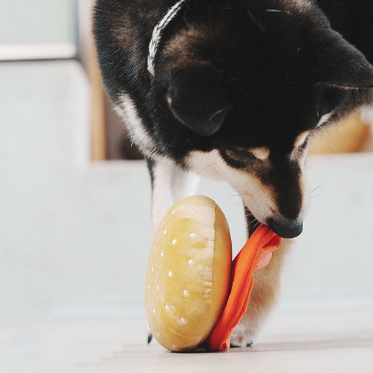 Pet Sniffing Educational Toys Stress Relief Ball