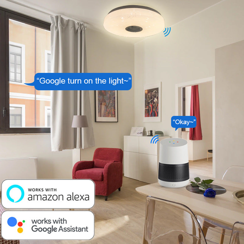 Intelligent Control Remote WiFi Modern Simple Bluetooth Music Bedroom LED Ceiling Light