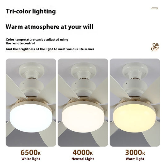 Screw Bedroom Living Room Ceiling Fan Lights Wind Mute Ceiling Fan Lights