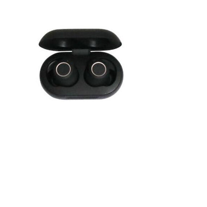 Intelligent Noise Reduction Charging Hearing Aid