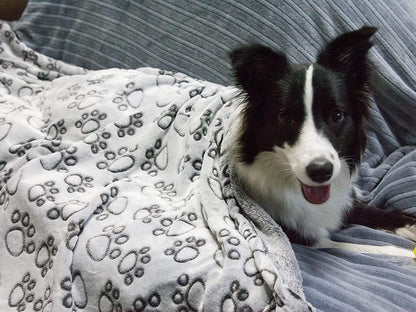 Pet Blanket Flannel Cut Flower Footprints