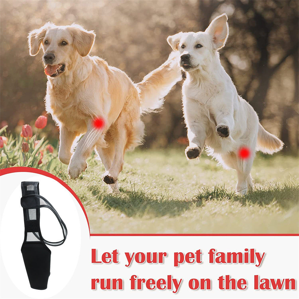 Dog Leg Injury Support Knee Pad