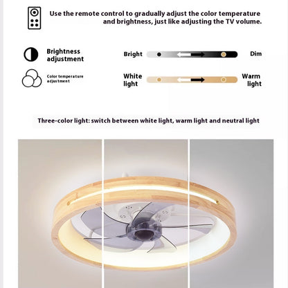 Ceiling Fan Lights Exclusive For Cross-border Frequency Conversion 110V