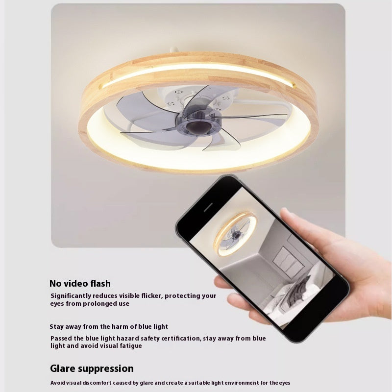 Ceiling Fan Lights Exclusive For Cross-border Frequency Conversion 110V