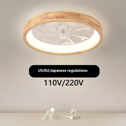 Ceiling Fan Lights Exclusive For Cross-border Frequency Conversion 110V
