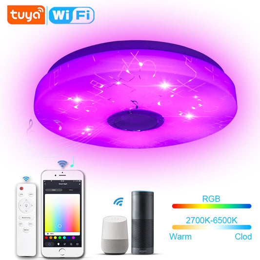 Intelligent Control Remote WiFi Modern Simple Bluetooth Music Bedroom LED Ceiling Light