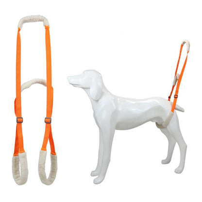 New Portable Rehabilitation Training Aid Belt