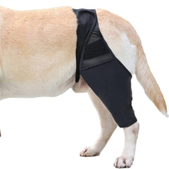 Dog Leg Injury Support Knee Pad