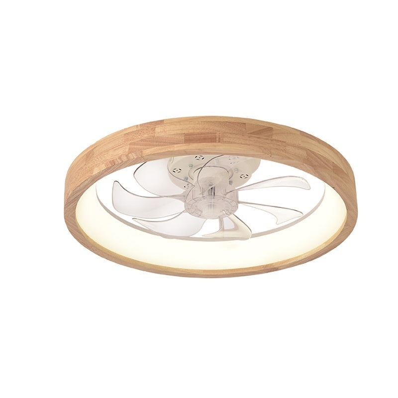 Ceiling Fan Lights Exclusive For Cross-border Frequency Conversion 110V